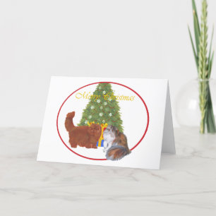 Cartão De Festividades Gatos Persas Vermelhos e Calico Natal