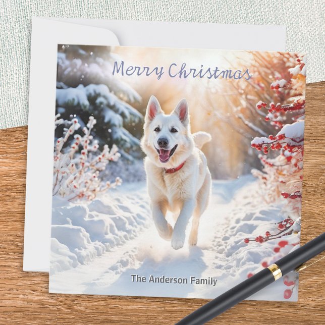 Cartão De Festividades German shepherd branco Cão alsaciano (A Christmas card with a picture of a white German Shepherd dog out for a walk in the winter snow)