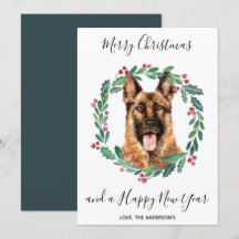 German shepherd Cão Elegante Feliz Natal