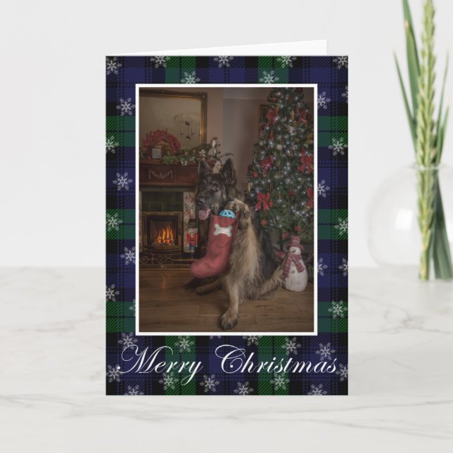 Cartão De Festividades German shepherd christmas Folded Holiday Card (Frente)