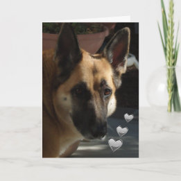 Cartão De Festividades German shepherd Continua girando meu Namorados