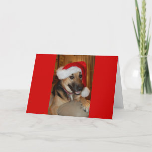 Cartão De Festividades German shepherd de Natal
