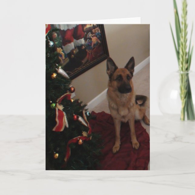 Cartão De Festividades German shepherd Natal (Frente)