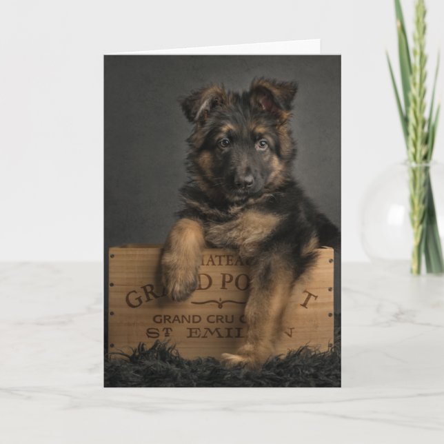 Cartão De Festividades German shepherd puppy card. (Frente)