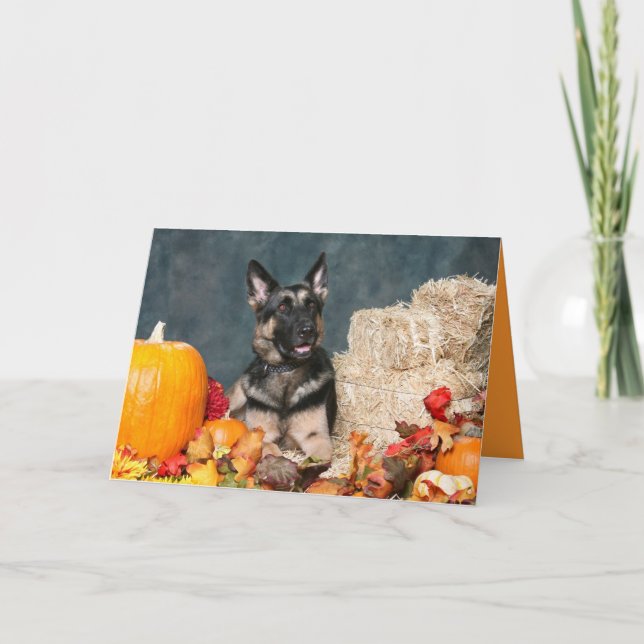 Cartão De Festividades German Shepherd Thanksgiving Card (Frente)