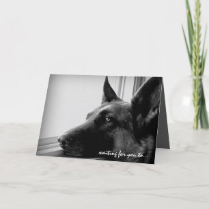 Cartão De Festividades German Shepherd Valentine's Day Card
