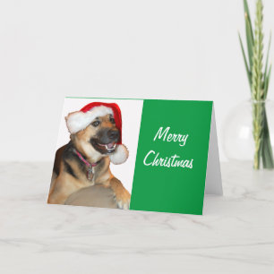 Cartão De Festividades German shepherd vestindo um Chapéu do Papai Noel