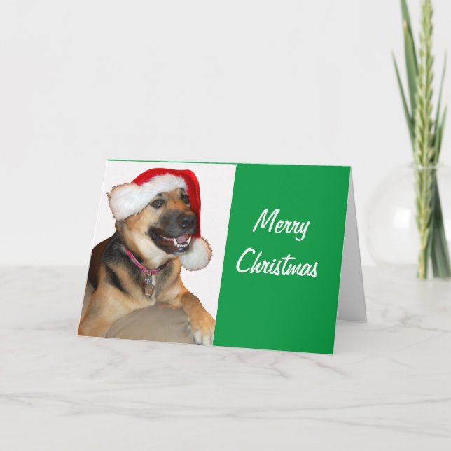 Cartão De Festividades German shepherd vestindo um Chapéu do Papai Noel (Frente)