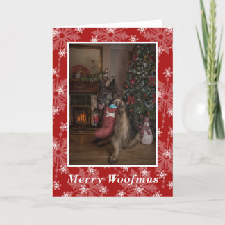 Cartão De Festividades German shepherd wishing you a merry christmas.
