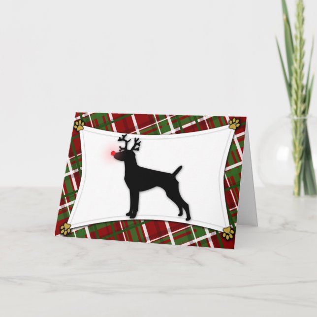 Cartão De Festividades German Shorthaired Pointer Reindeer Christmas Card (Frente)