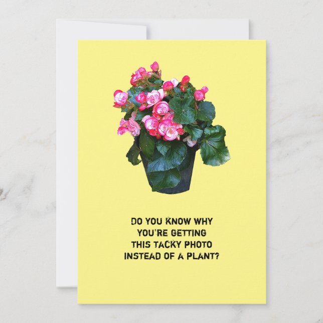 Cartão De Festividades Get well tacky flowers floral pot, greeting card (Frente)