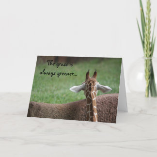 Cartão De Festividades Giraffe friendship card