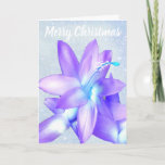 Cartão De Festividades *~* Glitter Merry Christmas Flower Blue Customize<br><div class="desc">* Faux Glitter Merry Christmas Flower Photograph Versatile Messages Greeting Card * This photo taken by myself is of one of my favorite house plants known as the Christmas Cactus. In the mid of winter I love flowers blooming in my house. I did a little digital magic with it to...</div>