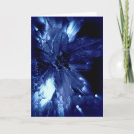 Cartão De Festividades Glowing blue pointsetta on black Christmas card