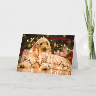 Cartão De Festividades Golden Doodle Holiday Christmas Card