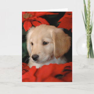 Cartão De Festividades Golden Puppy and Poinsetta Christmas Card