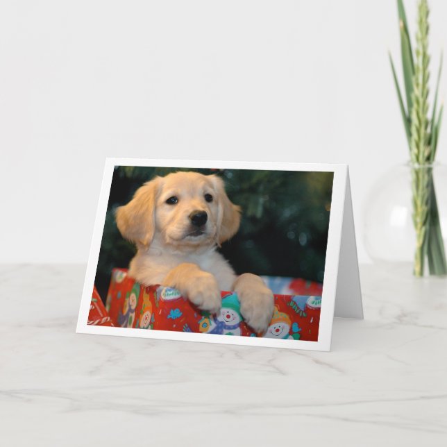 Cartão De Festividades Golden Puppy Gift Christmas Card (Frente)