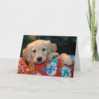 Cartão De Festividades Golden Puppy Present Christmas Card