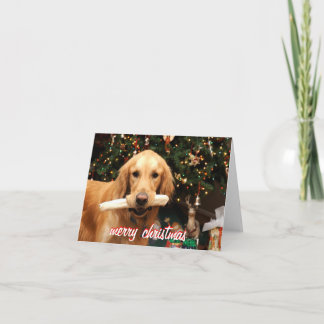 Cartão De Festividades Golden Retriever Christmas Card