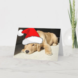 Cartão De Festividades Golden Retriever Christmas Puppy