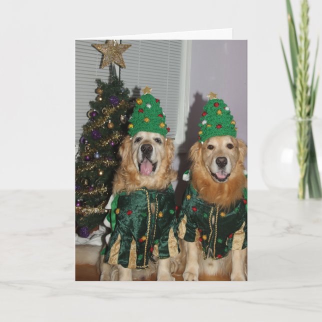 Cartão De Festividades Golden Retriever Christmas Trees (Frente)