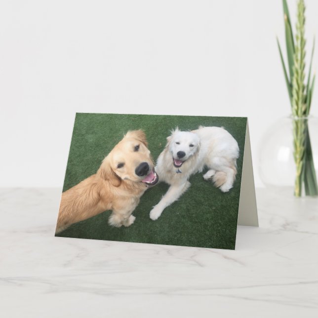 Cartão De Festividades Golden Retriever Father’s Day Card (Frente)
