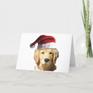 Cartão De Festividades Golden Retriever In Santa Hat