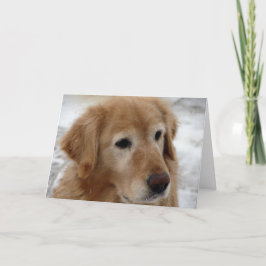 Cartão De Festividades Golden Retriever in Winter