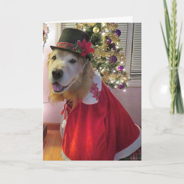 Cartão De Festividades Golden Retriever Merry Bright Christmas Caroler (Frente)