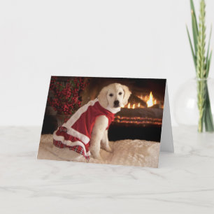 Cartão De Festividades Golden Retriever Puppy Christmas & New Years Card
