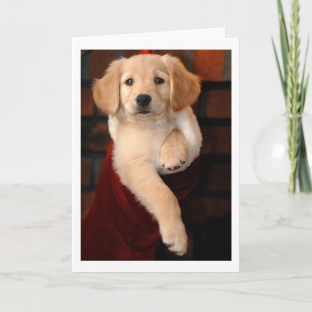 Cartão De Festividades Golden Retriever Puppy Christmas Stocking (Frente)