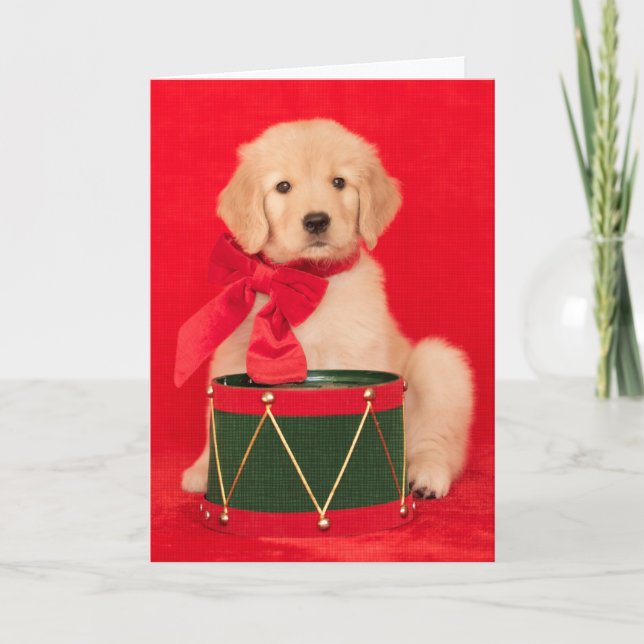 Cartão De Festividades Golden Retriever Puppy Drummer Boy (Frente)