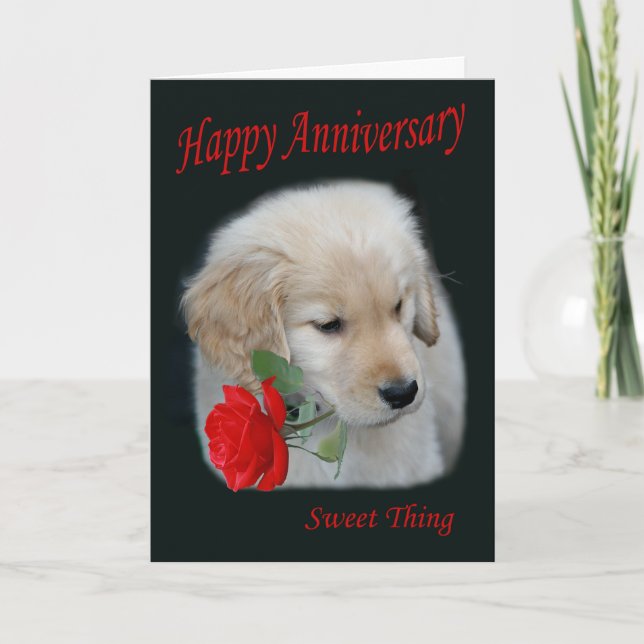 Cartão De Festividades Golden Retriever Puppy Happy Anniversary Card (Frente)