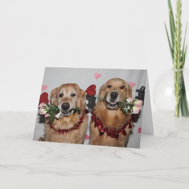 Cartão De Festividades Golden Retriever Valentine Arrows of Love (Frente)