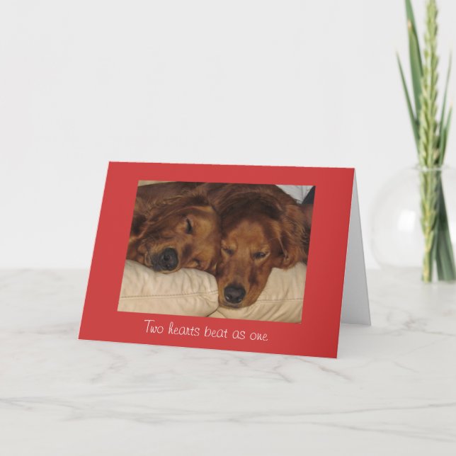 Cartão De Festividades Golden Retriever Valentine's Day Card, Two Hearts (Frente)