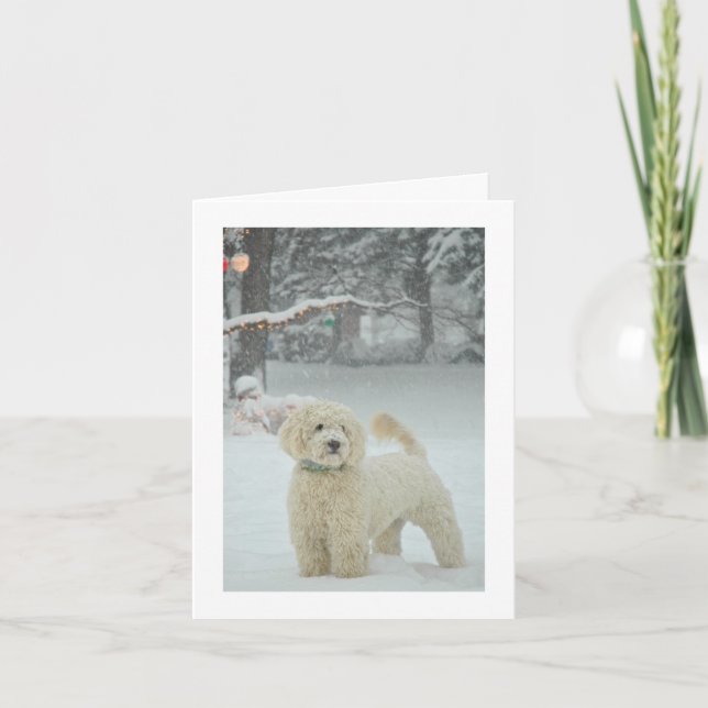 Cartão De Festividades Goldendoodle Christmas (Frente)