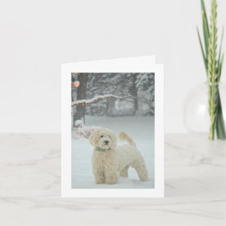 Cartão De Festividades Goldendoodle Christmas