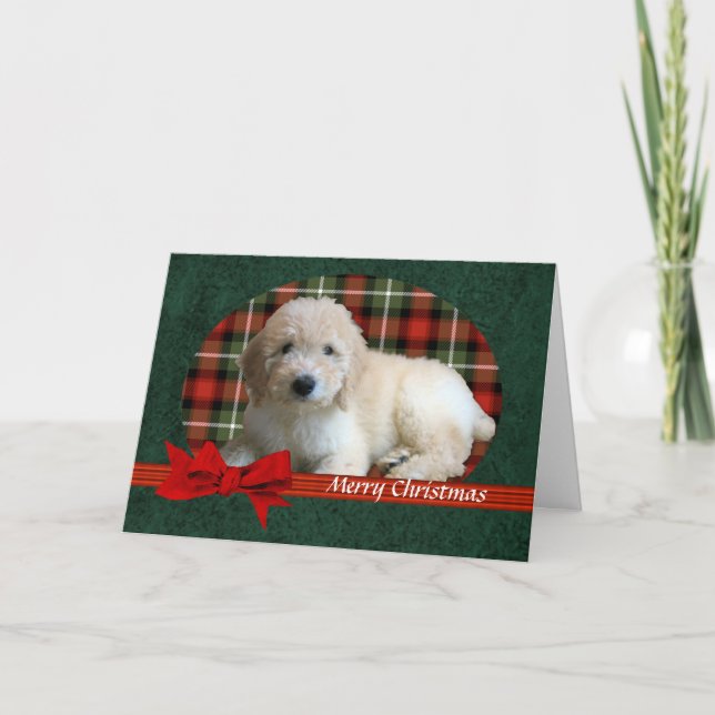 Cartão De Festividades GoldenDoodle Christmas Holiday Customizable (Frente)