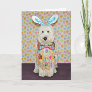 Cartão De Festividades Goldendoodle Easter Card