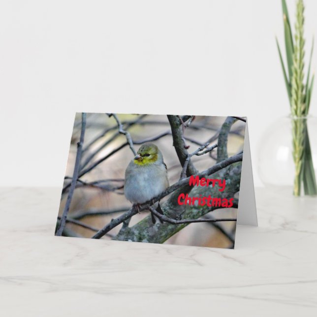 Cartão De Festividades Goldfinch 3900 Christmas Card (Frente)