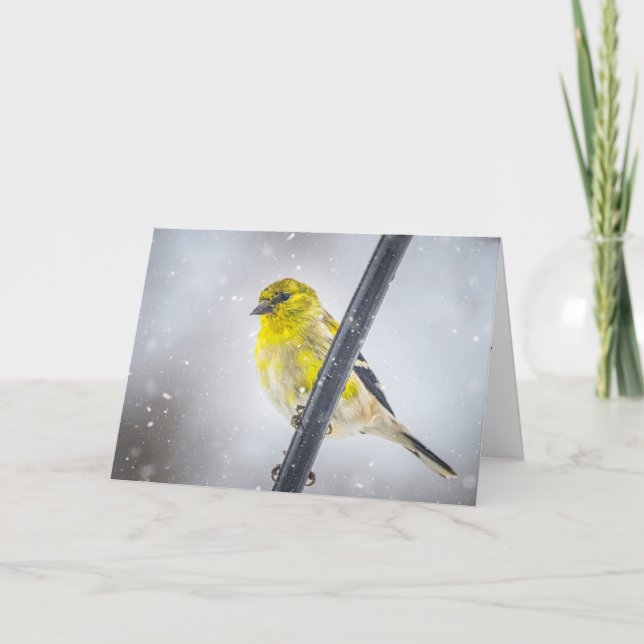 Cartão De Festividades Goldfinch in the snow Folded Christmas Card (Frente)