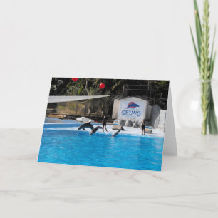 Cartão De Festividades Golfinhos e seus treinadores na Espanha
