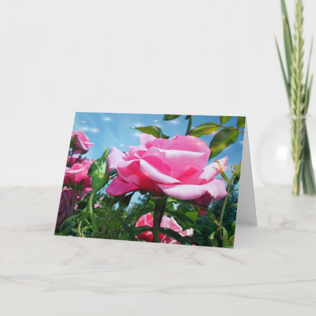 Cartão De Festividades Gorgeous pink rose in blue sky. Floral photography (Frente)