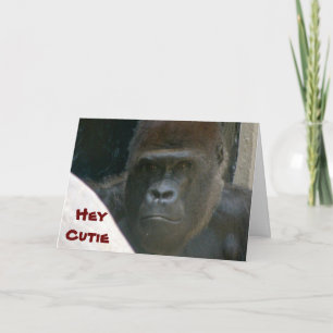 Cartão De Festividades GORILLA, HEY CUTIE NAMORADOS card