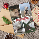 Cartão De Festividades Grade de 4 Fotos Moderna e Simples<br><div class="desc">Ah, a alegria da época é capturada de forma tão elegante neste cartão de Natal Modern 4 Photos Grid! O design limpo e minimalista permite que a beleza das suas fotografias festivas brilhe verdadeiramente. Ao enviar este cartão de Natal Modern 4 Photos Grid, você não está apenas compartilhando fotos; está...</div>