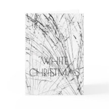 Grama De Inverno Em Neve