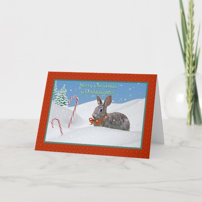 Cartão De Festividades Granddaughter's Christmas Card with Rabbit (Frente)