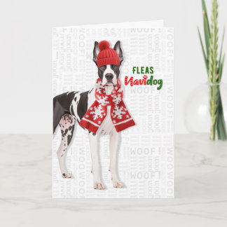 Cartão De Festividades Grande Cão Dinamarquês Piadas de Pulgas Navidog Na