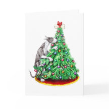 Grande Mancha dos Objetivos de Chegada de Natal