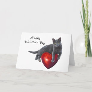 Cartão De Festividades Gray Cat Heart Valentine's Day Card